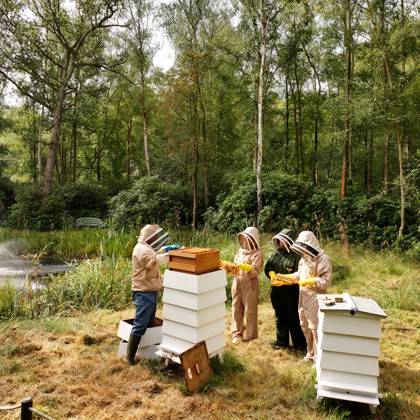 Bee Keeping