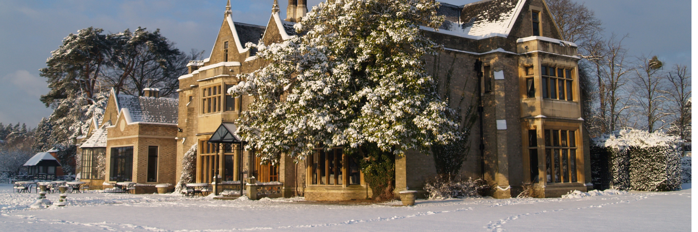 Pink Aesthetic Beauty Influencer Twitter Header