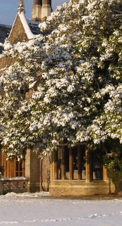 Pink Aesthetic Beauty Influencer Twitter Header