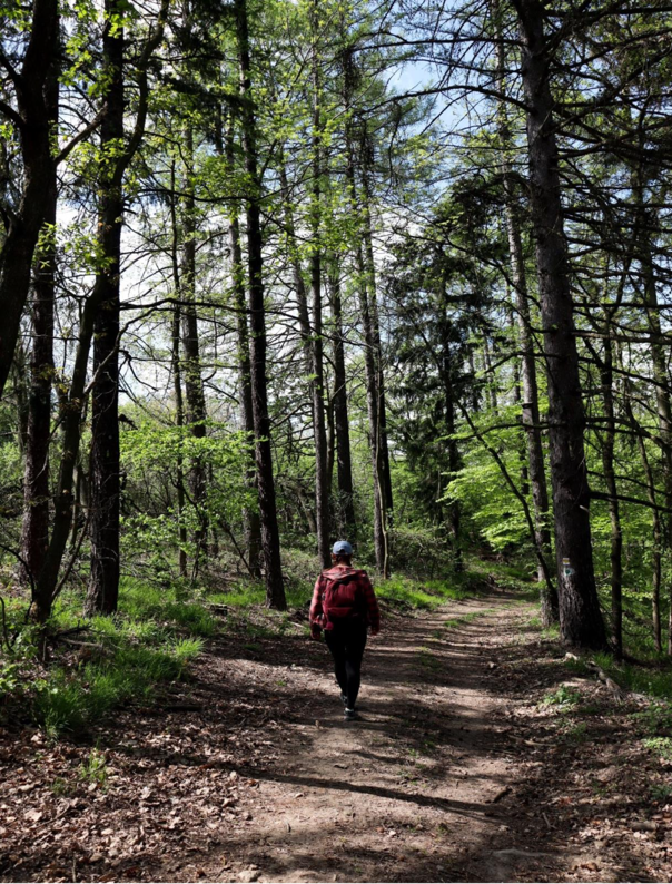 A person walking on a path in the woods

AI-generated content may be incorrect.