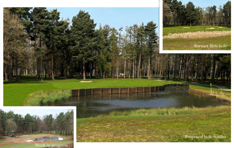 Collage 16Th Hole