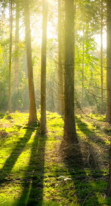 1 IC7 Pdltdmqwoqlktib4jq