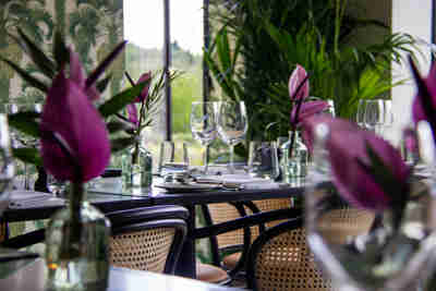 Image (8)