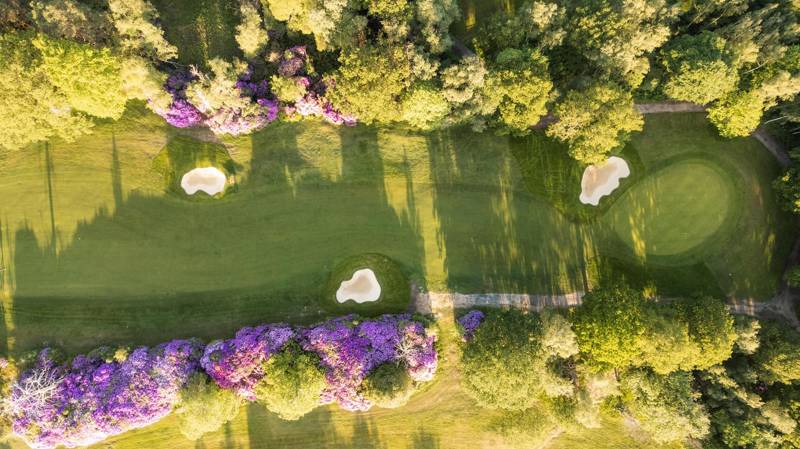 445740430 846722834140701 221134696171219905 N (1)