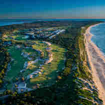 Magenta Shores