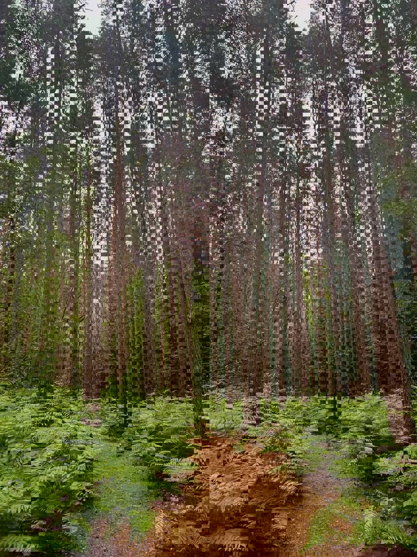 1686348453763