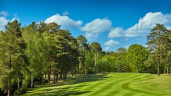 Associate Golf