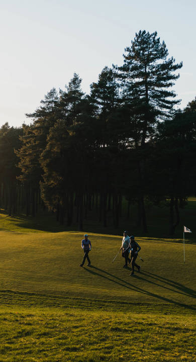 Fox Hills Winter 228