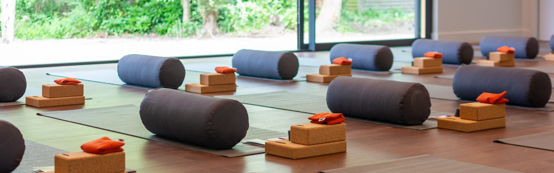Yoga Mats (2)