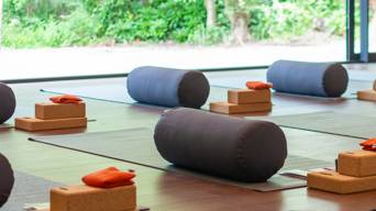 Yoga Mats (2)