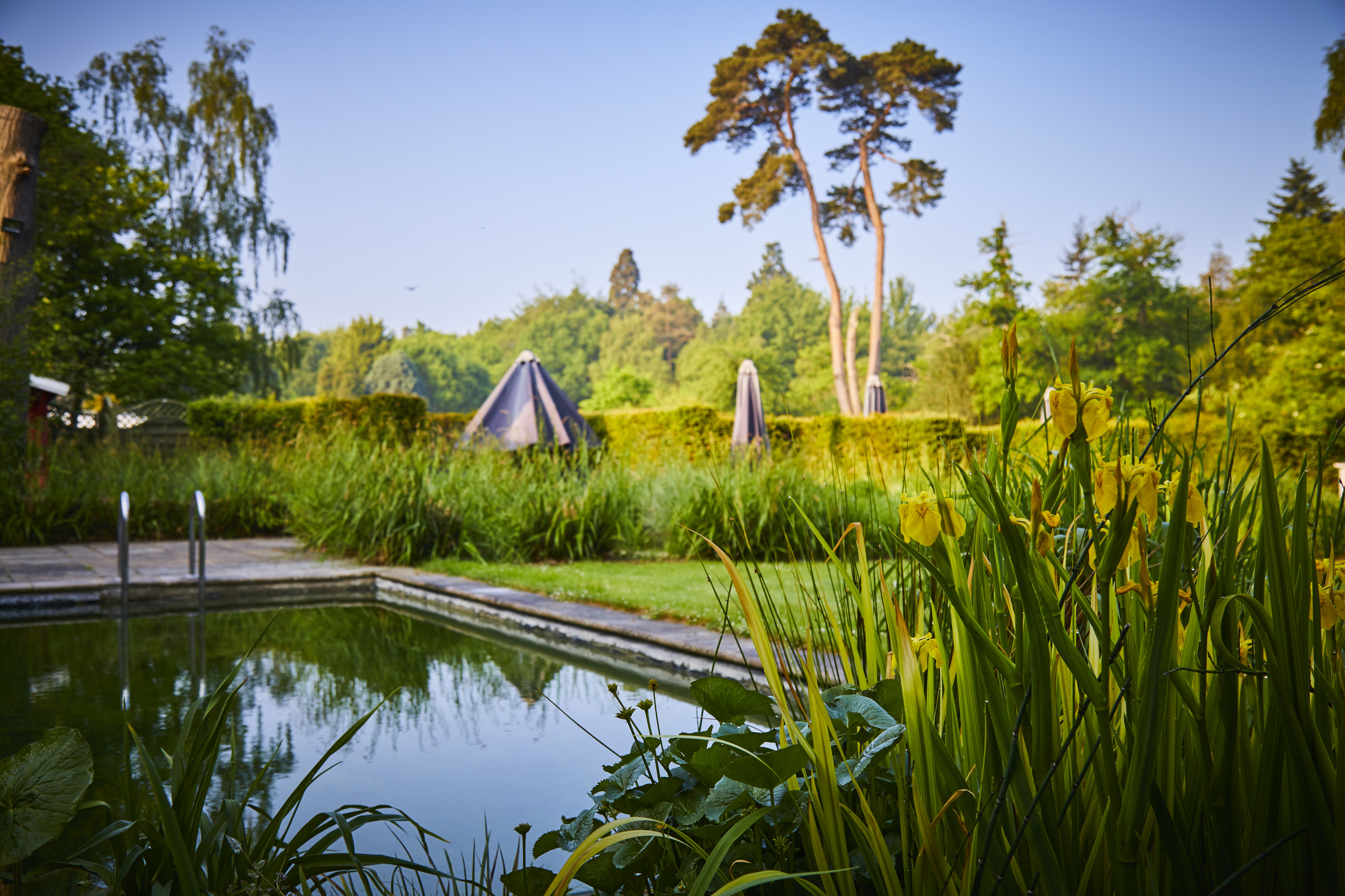 Mineral Pool (1) (1) (1) (1)